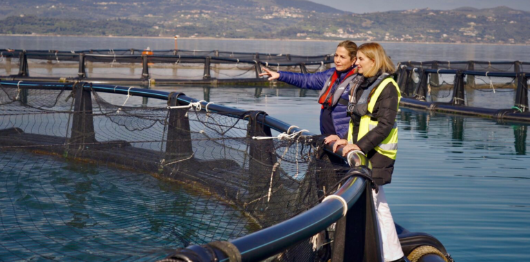 Και η ντροπή ντρέπεται…