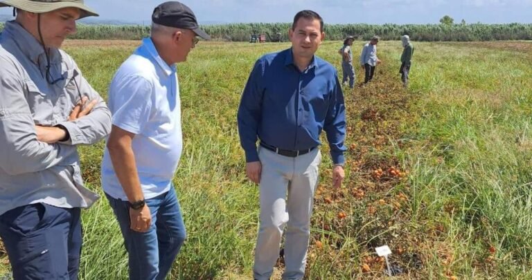 Παρατείνεται η  παραχώρηση χρήσης αγροτικών ακινήτων