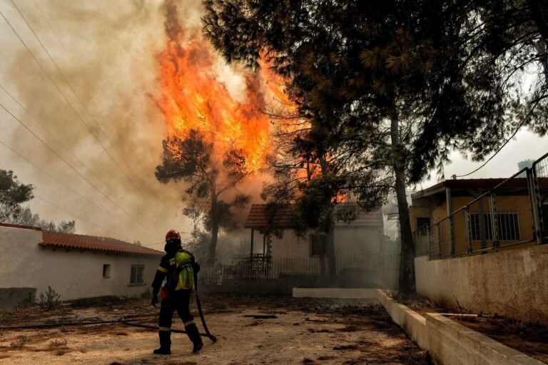 ΑΡ.ΠΑ.: «Να  πάρουμε τη ζωή μας στα χέρια μας»