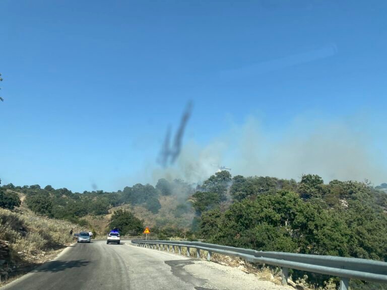 Φωτιά ξέσπασε σήμερα 23/7 στις Βελαώρες Αστακού