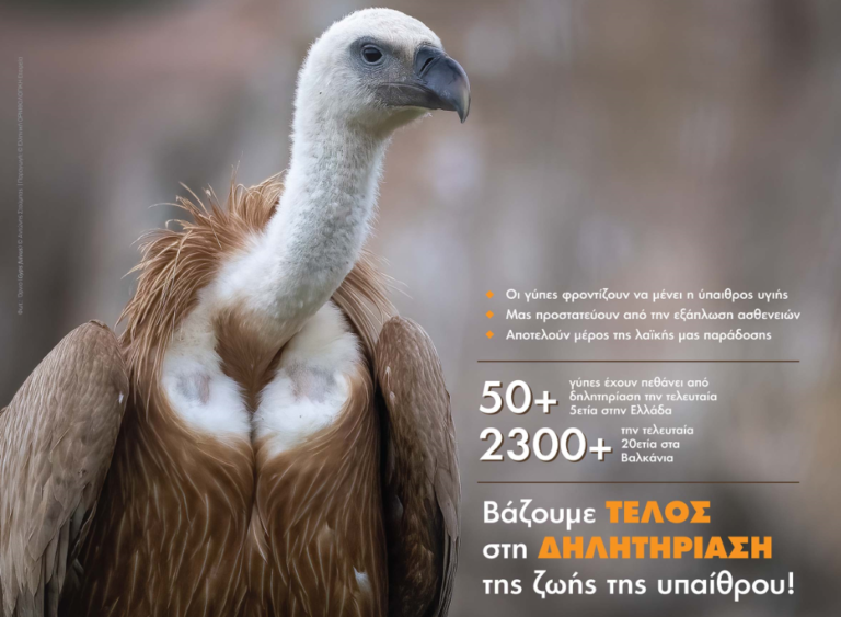 ΟΦΥΠΕΚΑ – Δηλητηριασμένα δολώματα
