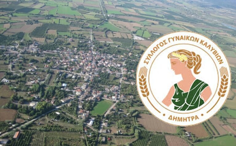 Καλύβια 26/11 – Εκλογές του συλλόγου «Δήμητρα»