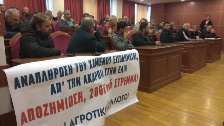 Ελαιοπαραγωγοί: Καταβολή αποζημίωσης 200 ευρώ/στρ