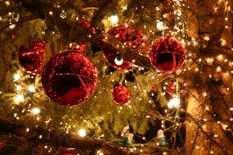 Οι εκδηλώσεις του Σαββάτου 23/12 στη Δημοτική Αγορά