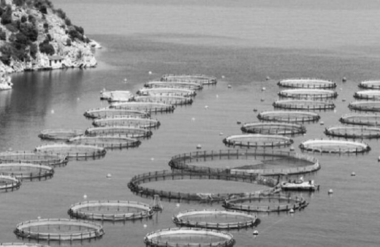 Με επιτυχία η διημερίδα για τις υδατοκαλλιέργειες