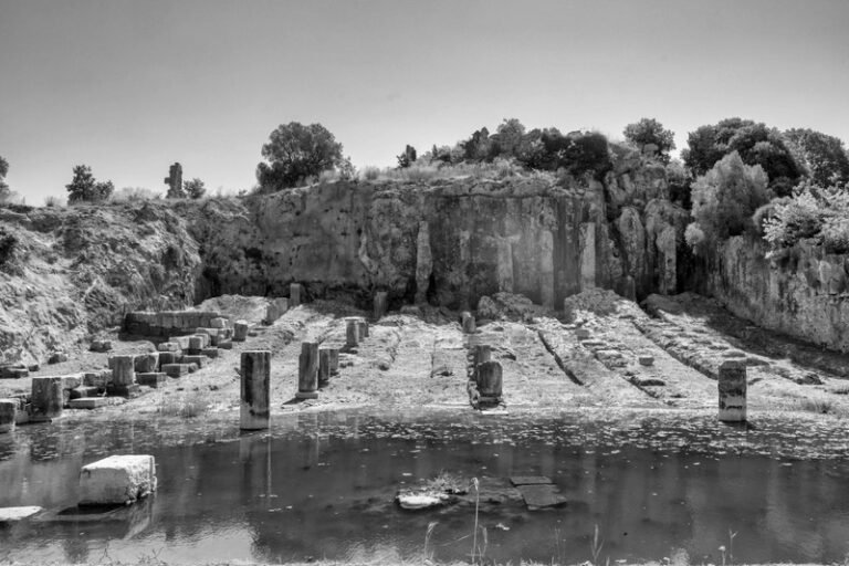 Έρευνα για την Προοπτική Βιωσιμότητας και Ανάπτυξης Οινιαδών