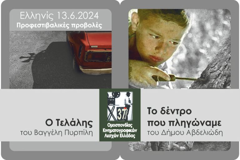 Ελληνίς 13/6 – Ο Τελάλης, Το δέντρο που πληγώναμε