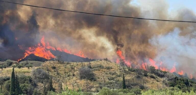 Δήμος Ναυπακτίας – Παράταση των δηλώσεων για την πυρκαγιά στο Μολύκρειο