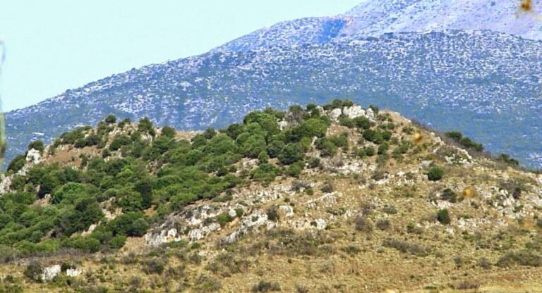 Σύλλογος Παπαδαταίων – Πεζοπορική διαδρομή με πανσέληνο