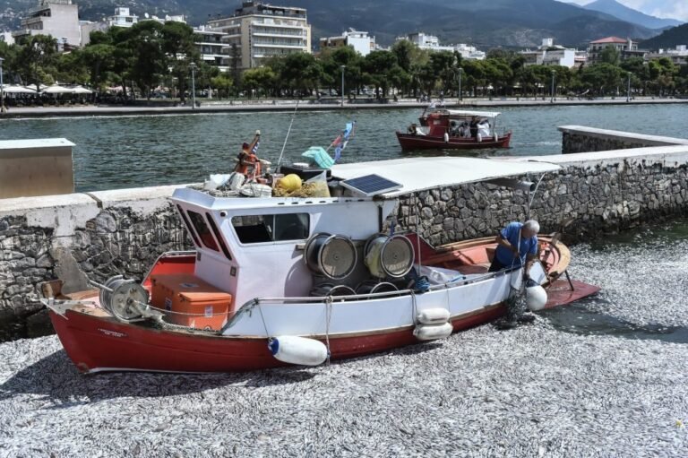 Μίλτος Ζαμπάρας | Μπαλάκι ευθυνών