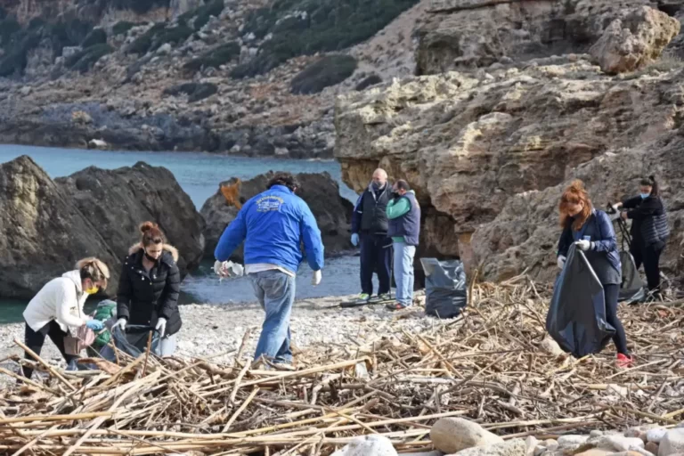Εθελοντισμός και πολιτική δράση