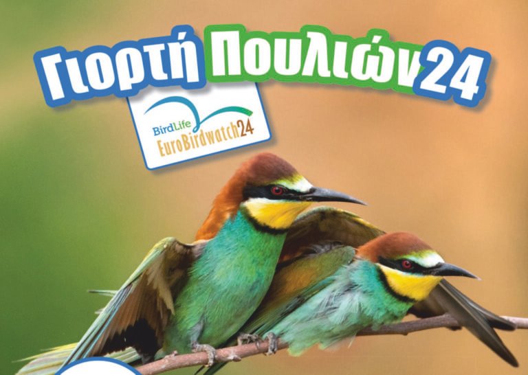 ΟΦΥΠΕΚΑ | Ευρωπαϊκή Γιορτή Πουλιών 2024