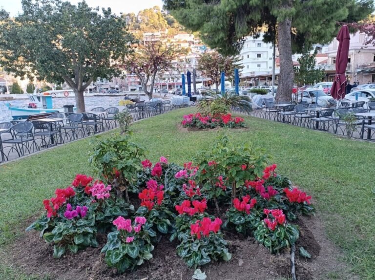 Δήμος Αμφιλοχίας | Παρεμβάσεις καλλωπισμού