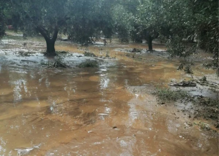 Αιτωλοακαρνανία | Αντιμετώπιση των προβλημάτων της κακοκαιρίας