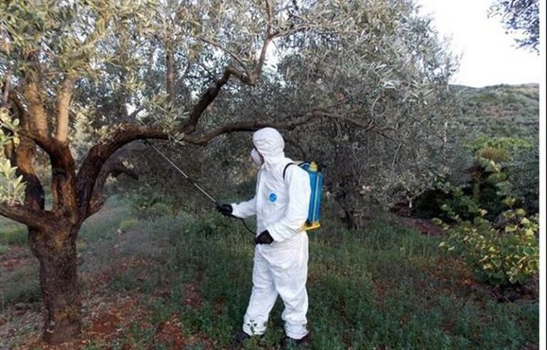 Αιτωλοακαρνανία | 9/10 | Ξεκινούν οι ψεκασμοί για τον δάκο της ελιάς