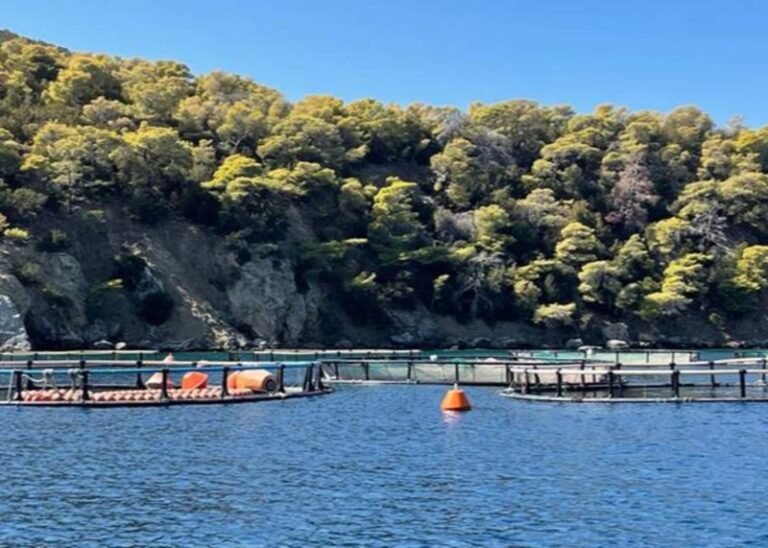 Υδατοκαλλιέργειες | Η Ελλάδα υστερεί σε κρίσιμες κατηγορίες