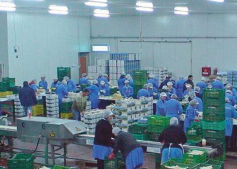 Αγγελία πρόσληψης εποχικών εργατών