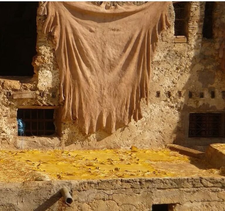 Τα δέρματα στο οθωμανικό Βραχώρι 