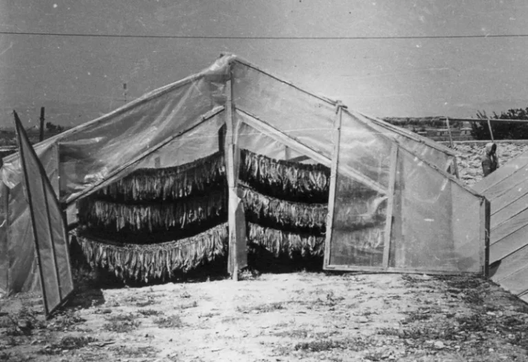 Ἐν Ἀγρινίῳ τῇ 22ῃ Φεβρουαρίου | 1900: 100.000 δρχ. για τον καλλωπισμό της πόλης