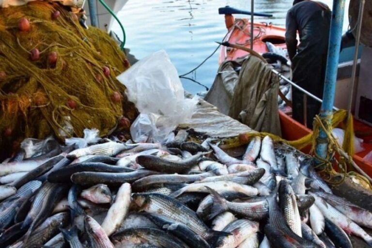 Χριστίνα Σταρακά | Αδιέξοδο στη Θάλασσα