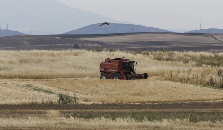 Χριστίνα Σταρακά | Όχι άλλες θεατρικές παραστάσεις