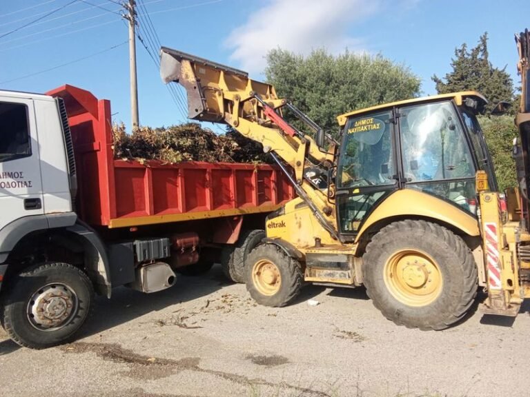 Δήμος Ναυπακτίας | Απαγορεύεται η απόρριψη κλαδιών και μπαζών