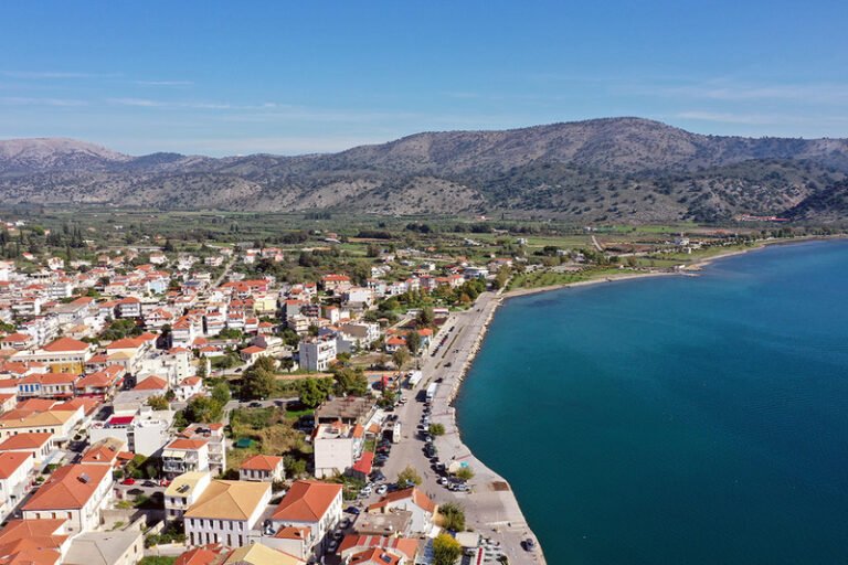 Κοινότητα Αστακού | 5/2 | Κοπή Πίτας
