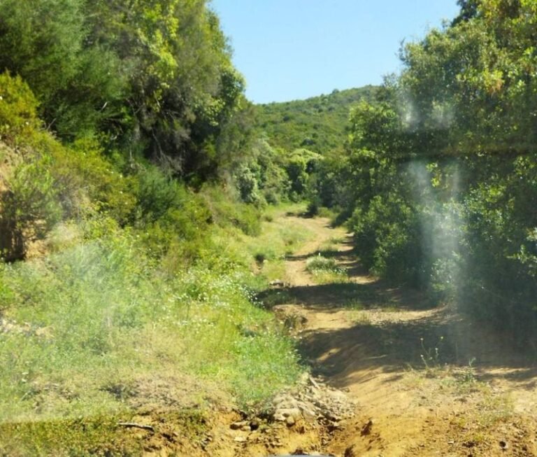 Φραγκουλαίικα | Αποκατάσταση αγροτικής οδοποιίας