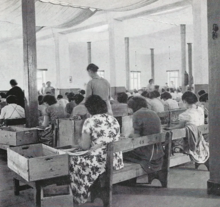 Ἐν Ἀγρινίῳ τῇ 3ῃ Ιουνίου | 1929: Επεισόδια για το Τ.Α.Κ. Αγρινίου