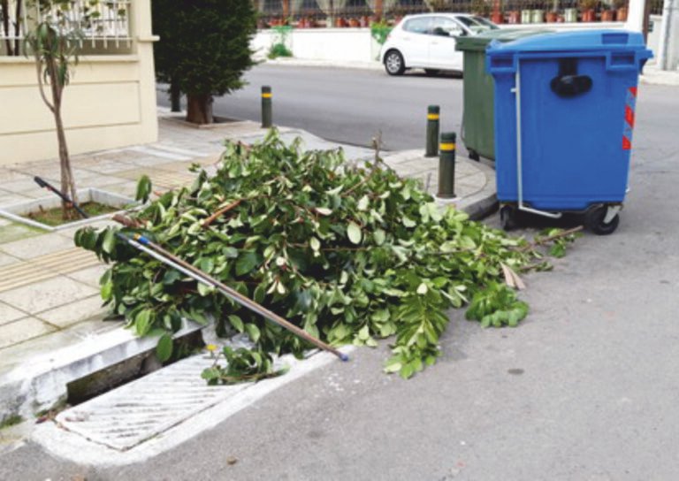 Αγρίνιο – Όχι κλαδέματα στα πεζοδρόμια