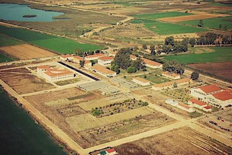 Δήλωση Φίλια για καλλιέργειες «φαντάσματα» στο Μεσολόγγι