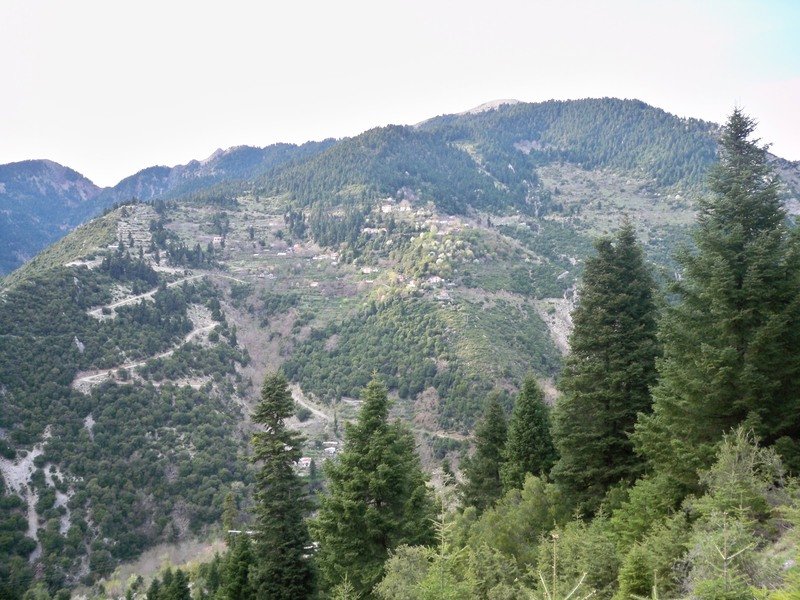 Ἐν Ἀγρινίῳ τῇ 7ῃ Αυγούστου | 1944: Η «Έχιδνα» αντεπιτίθεται στο Χαλίκι του Θέρμου