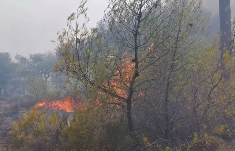 Μέτρα στήριξης για τους πυρόπληκτους 