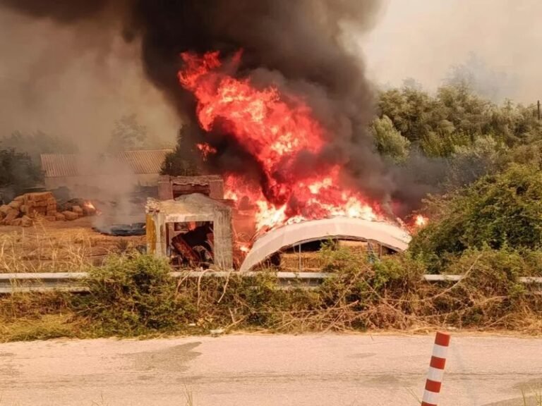 Καταγραφή επιχειρήσεων που επλήγησαν από τις πυρκαγιές