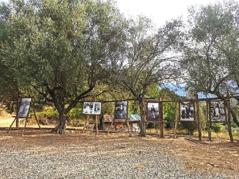 Δρομίστα | «Ταξίδι στο Χρόνο», του Θωμά Οδ. Παππά