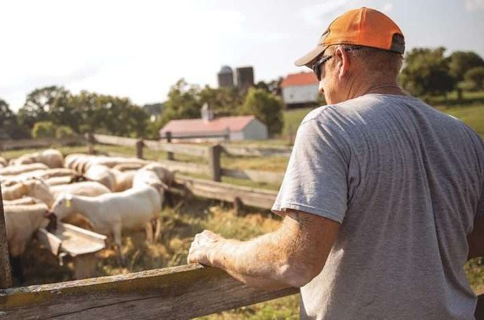 Σταρακά | Αποκλεισμός 40.000 βιοκαλλιεργητών