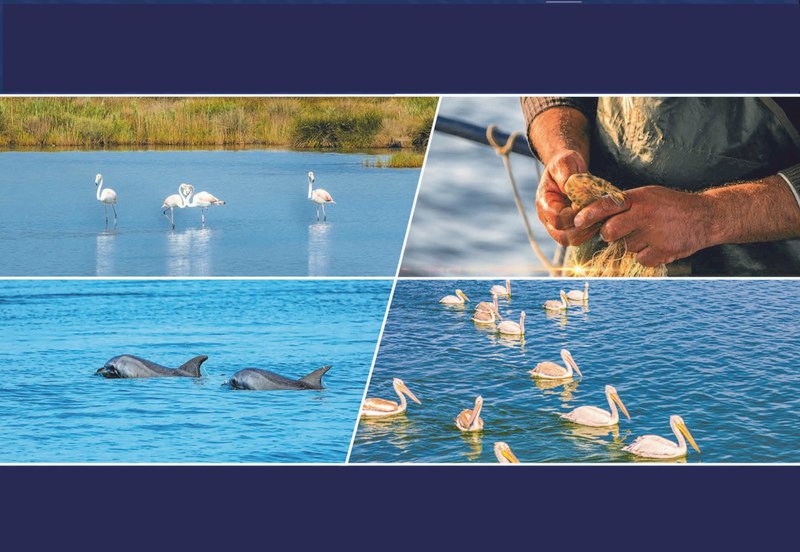 Δήμος Αμφιλοχίας | 6/12 | Αμβρακικός Κόλπος – Ημερίδα