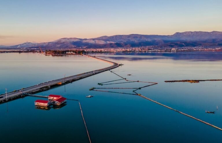 Η Λιμνοθάλασσα της Ελευθερίας | Το Νερό ως Πηγή Ζωής και Θρέψης