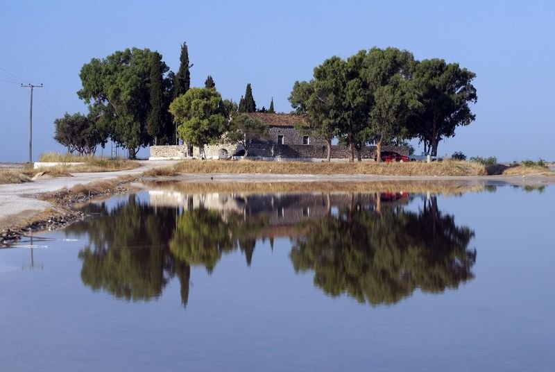 Παράνομη απόρριψη νεκρών ζώων κοντά στη «Φοινικιά»