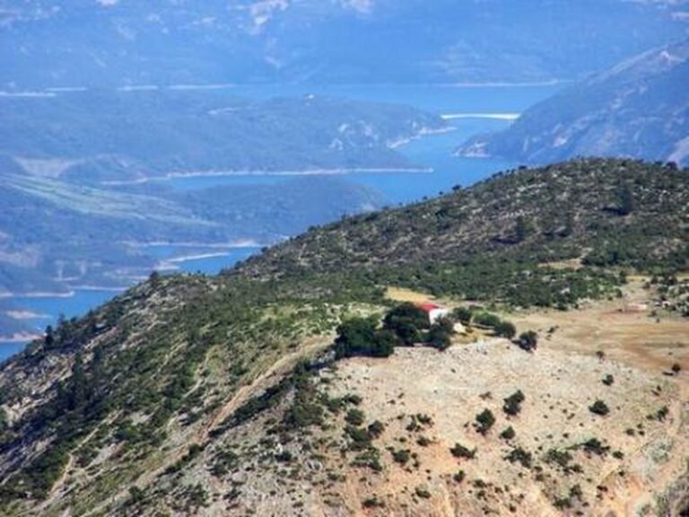 Πεδικάκι | Δάσος και Ορεινές Περιοχές