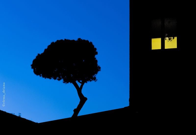 Photopolis | 18 – 26/4 | «Home-s»