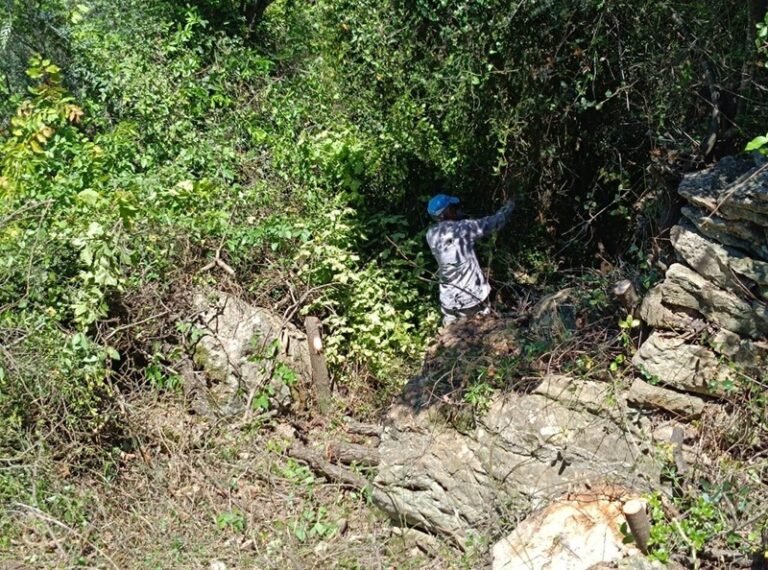 Σύλλογος Πετροχωριτών | Διάνοιξη μονοπατιού