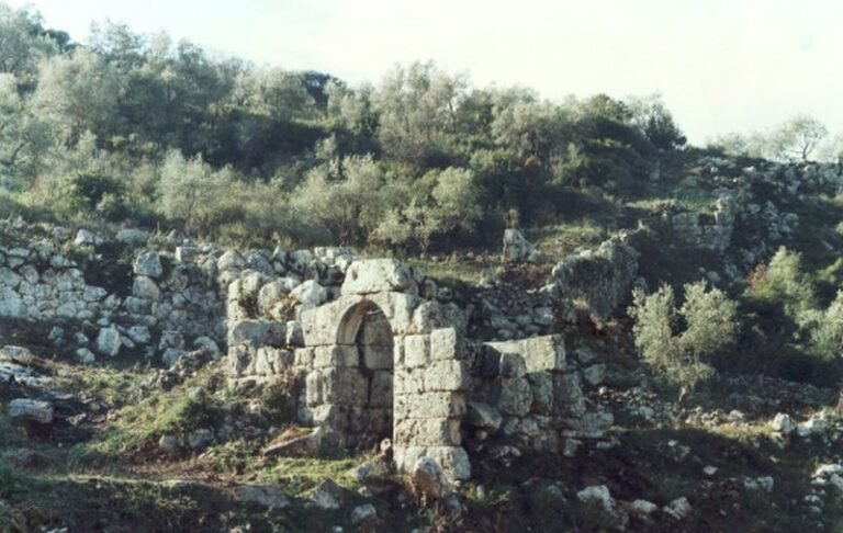 Ἐν Ἀγρινίῳ τῇ 15ῃ Ιουνίου | 1961: Κρούσμα πολιομυελίτιδας στην Παλαιομάνινα