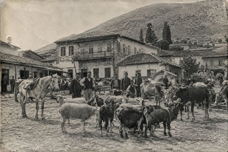 Ἐν Ἀγρινίῳ τῇ 12ῃ Ιουνίου | 1902: Η φορολογία των ζώων 
