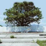 ΠΕΑΕΑ – ΔΣΕ | 22/7 | Για τους 59 εκτελεσμένους των Καλυβίων