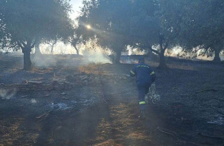 Φωτιά στη Σπολάιτα | Επιχείρηση κατάσβεσης