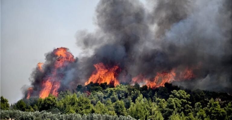 Κίνδυνος πυρκαγιάς | Κατηγορία 4 σε έξι περιφέρειες