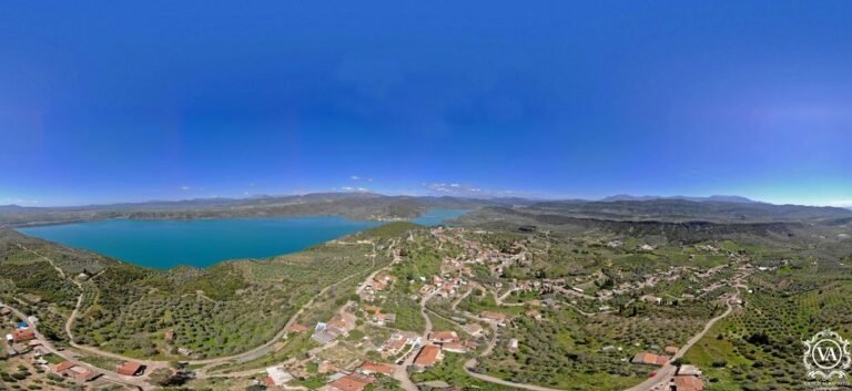 Σπολάιτα | 15/7 | Δωρεάν εξετάσεις