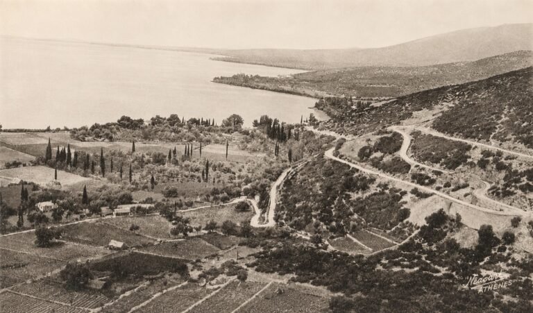 Το χρονικό της μάχης της Γουρίτσας