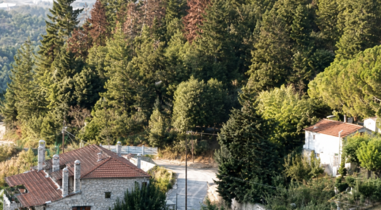 Αγρίνιο | Κλειστοί δρόμοι και δασύλλια